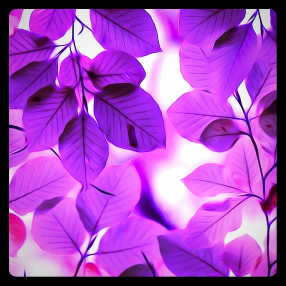 Meet your Posher, Cynthia